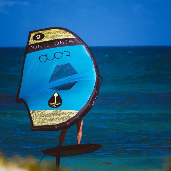 313929115_1520567318385525_2181245079366887840_n